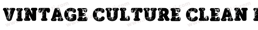 Vintage Culture Clean Regular字体转换